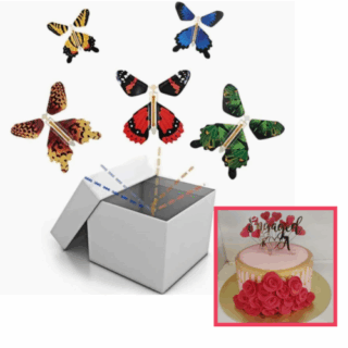 Flying Butterfles Surprise Cake Box
