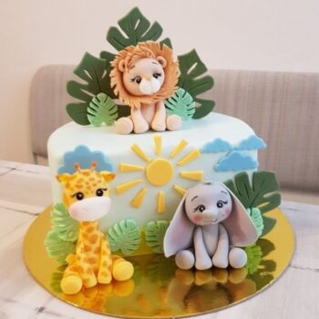 Half Birthday Cake